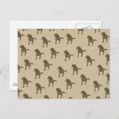 Carte Postale Chevaux (Devant / Derrière)