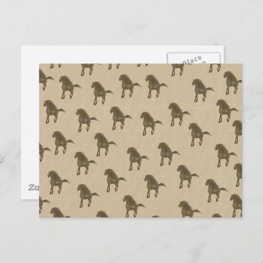 Carte Postale Chevaux (Devant / Derrière)