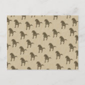 Carte Postale Chevaux (Devant)