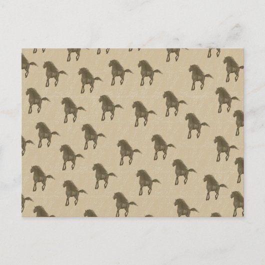 Carte Postale Chevaux (Devant)