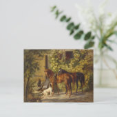 Carte Postale Chevaux à la Porche (Debout devant)