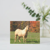 Carte Postale Chevaux à l'automne (Debout devant)