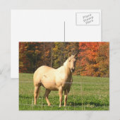 Carte Postale Chevaux à l'automne (Devant / Derrière)