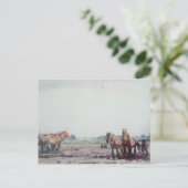 Carte Postale Chevaux à poils (Debout devant)