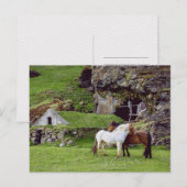 Carte Postale Chevaux Amour Campagne Verte Postcrossing (Devant / Derrière)