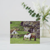 Carte Postale Chevaux Amour Campagne Verte Postcrossing (Debout devant)