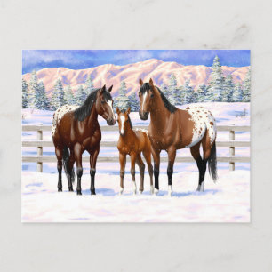 Carte Postale Chevaux Appaloosa De Baie Brown En Neige