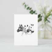 Carte Postale Chevaux arabes (Debout devant)