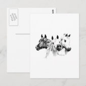 Carte Postale Chevaux arabes (Devant / Derrière)