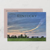 Carte Postale Chevaux au coucher du soleil à Lexington Kentucky (Devant / Derrière)