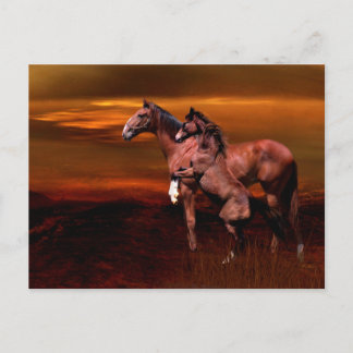 Carte Postale Chevaux au crépuscule