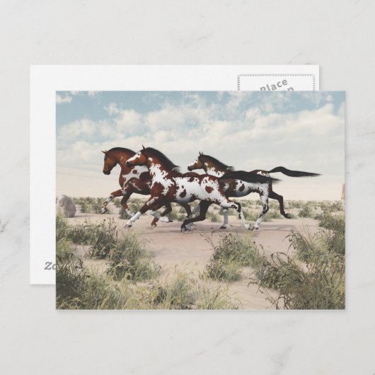 Carte postale Chevaux au galop (Devant / Derrière)
