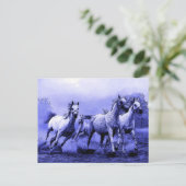 Carte Postale Chevaux au galop & Clair de lune (Debout devant)
