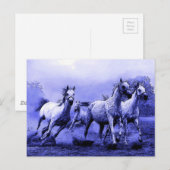 Carte Postale Chevaux au galop & Clair de lune (Devant / Derrière)
