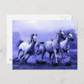 Carte Postale Chevaux au galop & Clair de lune bleu (Devant / Derrière)