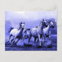 Chevaux au galop et clair de lune bleu