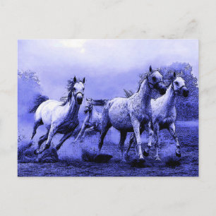Carte Postale Chevaux au galop et clair de lune bleu