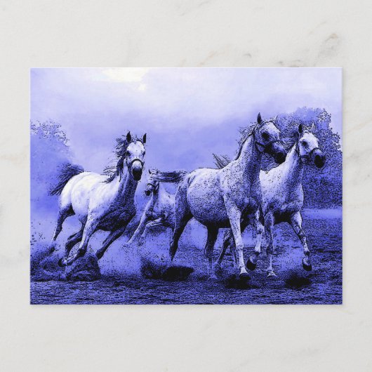 Carte Postale Chevaux au galop et clair de lune bleu (Devant)