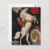 Carte Postale Chevaux Brothers (Devant / Derrière)