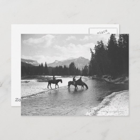 Carte Postale Chevaux buvant et traversant une rivière (Devant / Derrière)