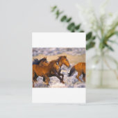 Carte Postale Chevaux courant (Debout devant)