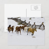 Carte Postale Chevaux courant dans la neige (Devant / Derrière)