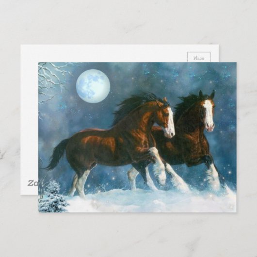 Carte Postale Chevaux Courant Dans La Neige (Devant / Derrière)