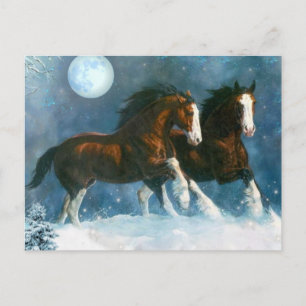 Carte Postale Chevaux Courant Dans La Neige