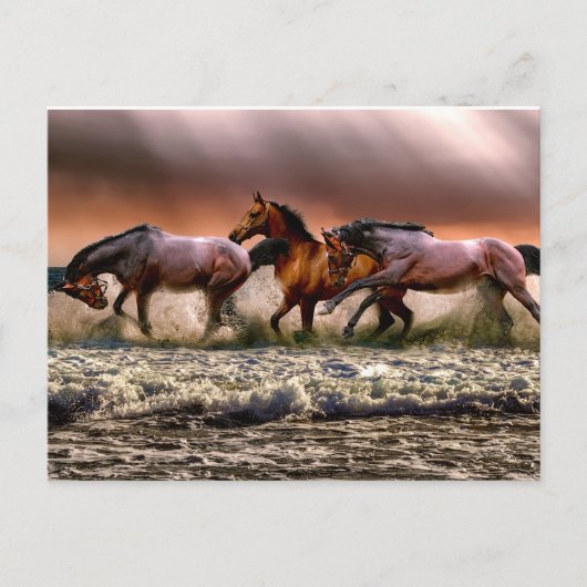 Carte Postale Chevaux courir dans les vagues océaniques Peinture (Devant)