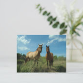 Carte Postale Chevaux curieux (Debout devant)