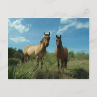 Carte Postale Chevaux curieux