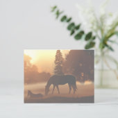 Carte Postale Chevaux dans le brouillard matinal2 (Debout devant)