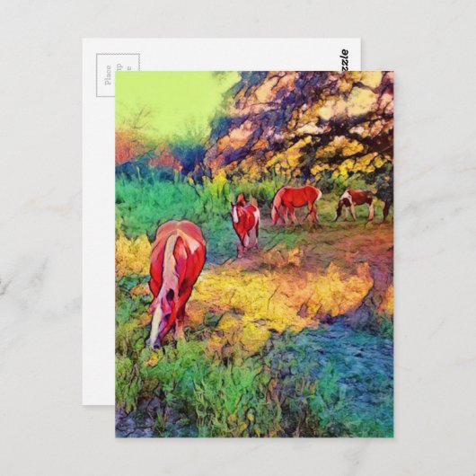 Carte Postale Chevaux dans un pâturage (Devant / Derrière)