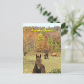 Carte postale Chevaux d'automne (Debout devant)