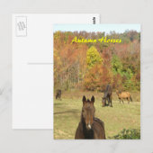 Carte postale Chevaux d'automne (Devant / Derrière)