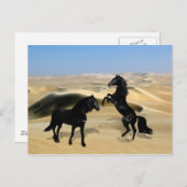 Carte Postale Chevaux de beauté noirs sauvages (Devant / Derrière)