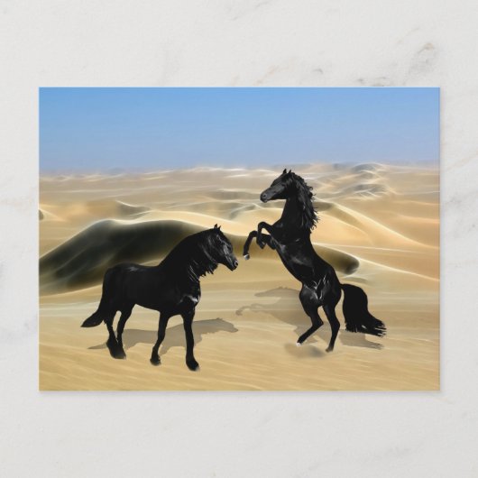 Carte Postale Chevaux de beauté noirs sauvages (Devant)