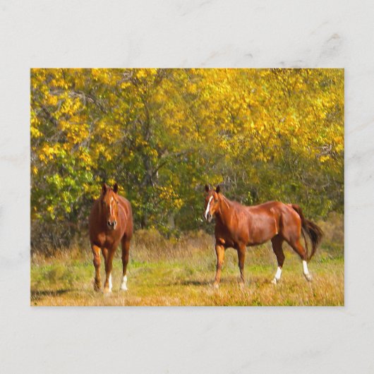 Carte Postale Chevaux de châtaignes d'automne (Devant)