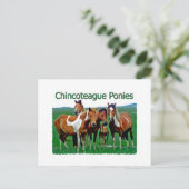 Carte Postale Chevaux de Chincoteague (famille) (Debout devant)