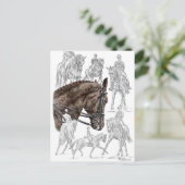 Carte Postale Chevaux de contrainte collectés FEI (Debout devant)