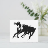 Carte Postale Chevaux de course (Debout devant)