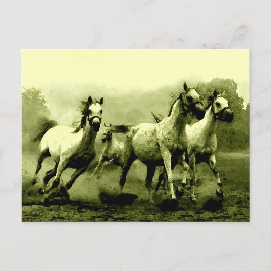 Carte Postale Chevaux de course (Devant)