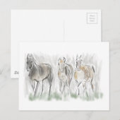 Carte Postale Chevaux de course Abstraits (Devant / Derrière)