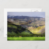 Carte Postale Chevaux de course Islande (Devant / Derrière)