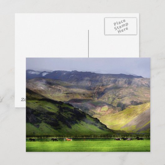 Carte Postale Chevaux de course Islande (Devant / Derrière)