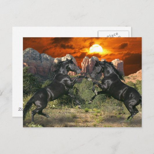 Carte Postale Chevaux de fantasy : Black Magic (Devant / Derrière)