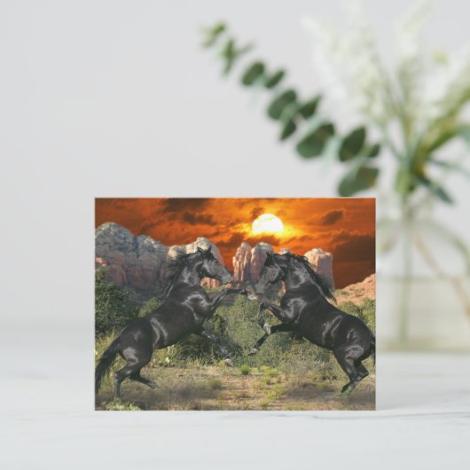 Carte Postale Chevaux de fantasy : Black Magic (Debout devant)