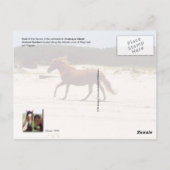 Carte Postale Chevaux de Feral, Assateague Island Nat. Bord de m (Dos)