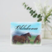 Carte Postale Chevaux de l'Oklahoma (Debout devant)