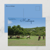 Carte Postale Chevaux de pâturage en musique (Devant / Derrière)